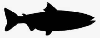 Fish Vector Shape #9111578