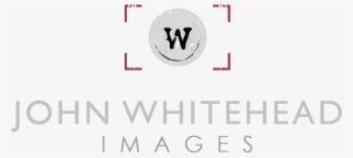 Logo - Horse #9111776