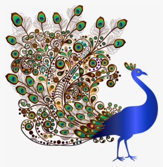 Bird Indian Peafowl - Indian Peafowl Drawing #9112204