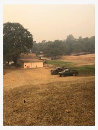 2018 Carr Fire - Tree #9112783