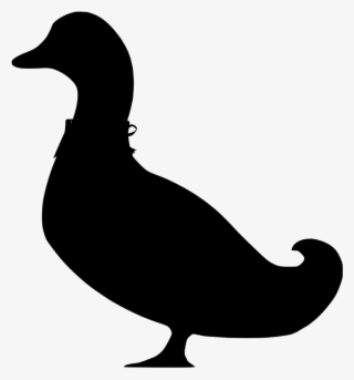 Download Png - Duck #9112787