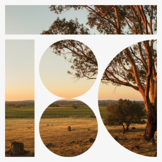 Secure Your Vine Today - Grass #9112872