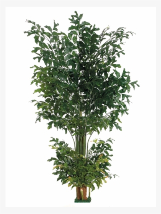 8' Fishtail Palm Tree With 1002 Leaves & Square Base - Houseplant #9114164