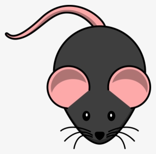 Mouse Clipart Transparent Background #9114948