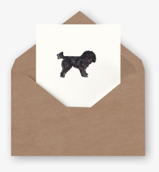 Shitzu Blank Card - Neapolitan Mastiff #9115175