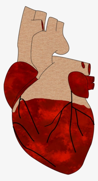 A Realistic Heart - Cartoon #9115345 A Realistic Heart - Cartoon #9115345
