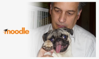 We Say Hola To Mexican Moodle Translator And Documenter - Moodle #9115650