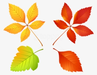 Free Png Download Autumn Leaves Set Clipart Png Photo - Autumn Chestnut Leaf Clipart #9115749