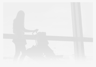 Unusual Baggage And Special Allowances - Silhouette #9116791