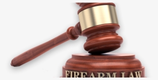 Bump Stock Sales Impacted By Legislation Orchid - Labour Law #9117567