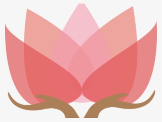 Flor De Loto Png #9117937