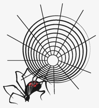 Input Spider And Web 2 #9118358