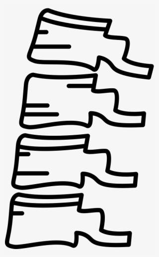 Png File - Vertebral Column #9120261