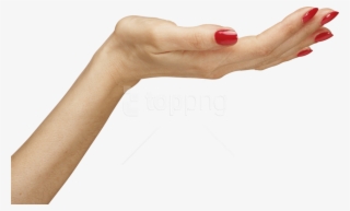 Free Png Download Hands Png Images Background Png Images - Women Hand Png #9120414
