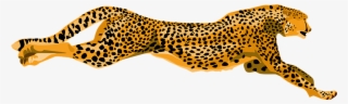 Cheetah Clipart Png #9120872
