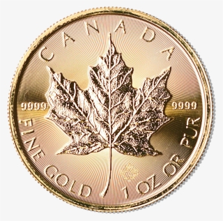 Canadian Gold Maple - Coin #9121640