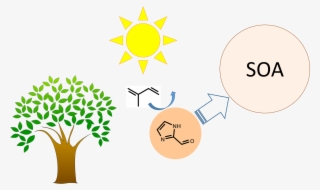 New Mcneill Group/temple Publication In J - Tree Clipart Transparent Background #9122170