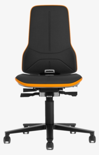 Any Questions Contact Us - Bimos Neon #9124644