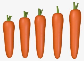 Rábano Zanahoria C4d Png Y Psd - Carrot #9125644