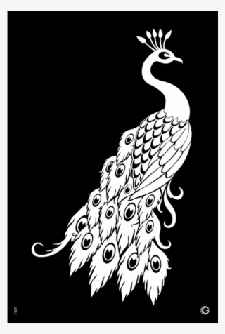 Gstl7 Proud Peacock 0f24ca75 4ac6 4d42 9c73 A428090a76da - Paper Cutting Templates Peacock #9127174