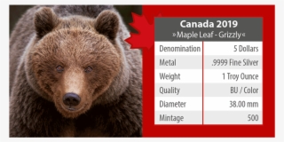 Ibca201956 5 - Maple Leaf #9129134