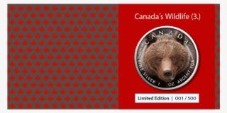 Ibca201956 4 - Punxsutawney Phil #9129318