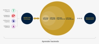 Cómo Lo Hacemos - Circle #9131627
