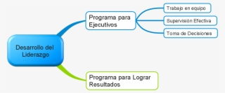 Programa De Desarrollo Del Liderazgo - Programas De Desarrollo De Ejecutivos #9131871
