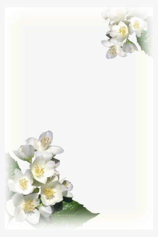 Desenhos Para Ebd - Moldura Frame Flores Brancas #9132053