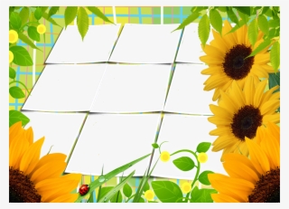 Molduras Para Flores #9132136