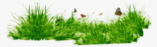 Png Format Grass Png #9132581