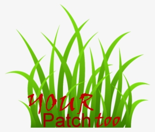 Your Patch Too Logo Feb 2015 - Grass Clipart Transparent Background #9132620