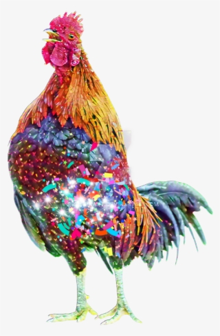 Rooster #9133244