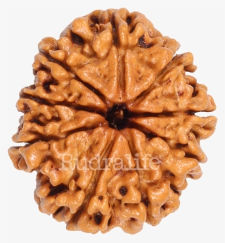 Click To Zoom - Chocolate #9136020