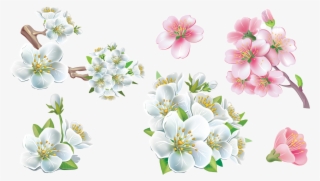 Png Flowers Hd #9136784