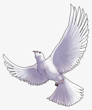 Simple - - Rock Dove #9136909