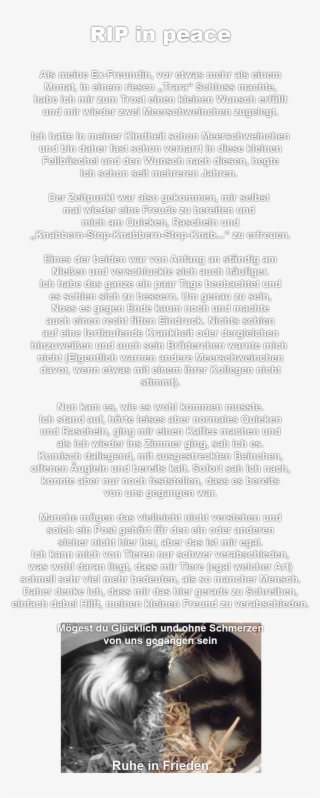 Pr0gramm - Document #9137668