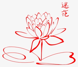 Lotus Flower Pen Drawing #9137787