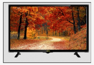 Two Roads In Forest #9138909