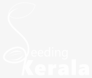 Ps3 Media Server #9139234