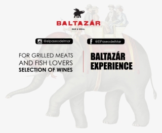 Fondo Elefante En - Funny Warning Signs #9139417