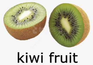 Free Png Kiwi Fruit Png Images Transparent - Kiwi Fruit Picture With Name #9140932