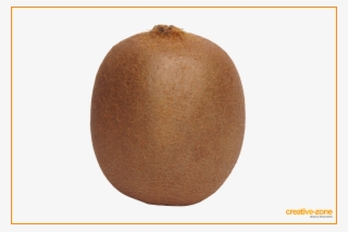 Kiwi, Kiwifruit - Kiwifruit #9141130