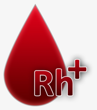 Blood Group,rh Factor Positive,blood,a Drop Of Blood,blood - Grupo Sanguineo Ab Positivo #9141520