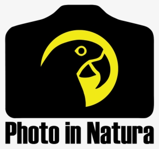 “i Was Particularly Impressed With The Quality And - Emblem #9141787