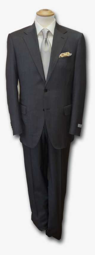 Image Expert - Tuxedo #9141852