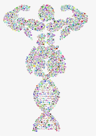 Bodybuilder Dna Circles Prismatic - Art #9142002