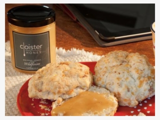 Show Gallery - Bun #9142054