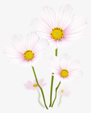 Tubes Fleurs Colorful Pictures, White Flowers, Leaf - ดอกไม้ สี ขาว Png #9142365