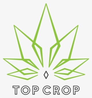 Top Crop Eugene #9144033